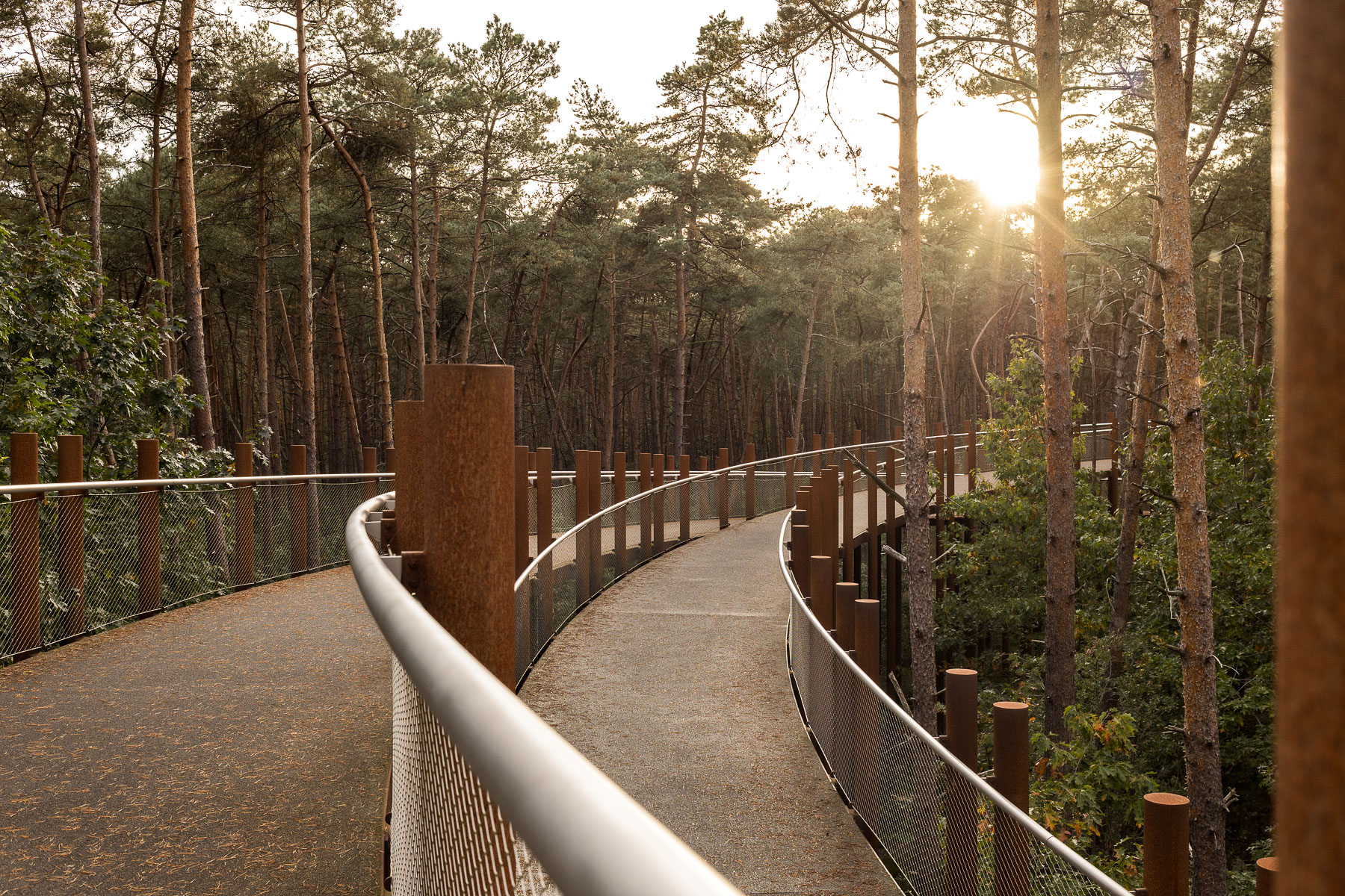 de architectuurfotograaf, architectuurfotografie, landschapsfotografie, Glenn Vanderbeke, Burolandschap, landschapsarchitectuur, fietsen door de bomen, limburg, landschapsarchitectuur limburg