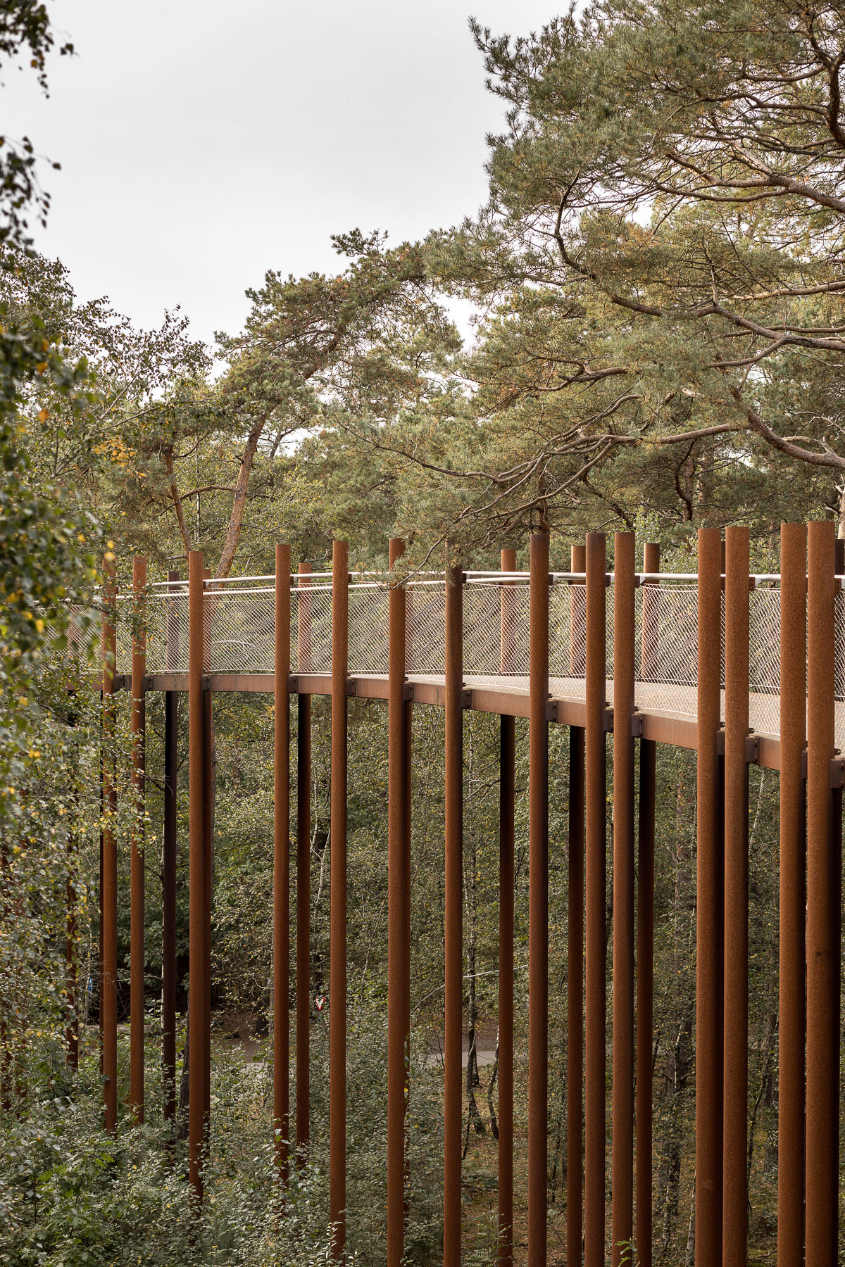 de architectuurfotograaf, architectuurfotografie, landschapsfotografie, Glenn Vanderbeke, Burolandschap, landschapsarchitectuur, fietsen door de bomen, limburg, landschapsarchitectuur limburg