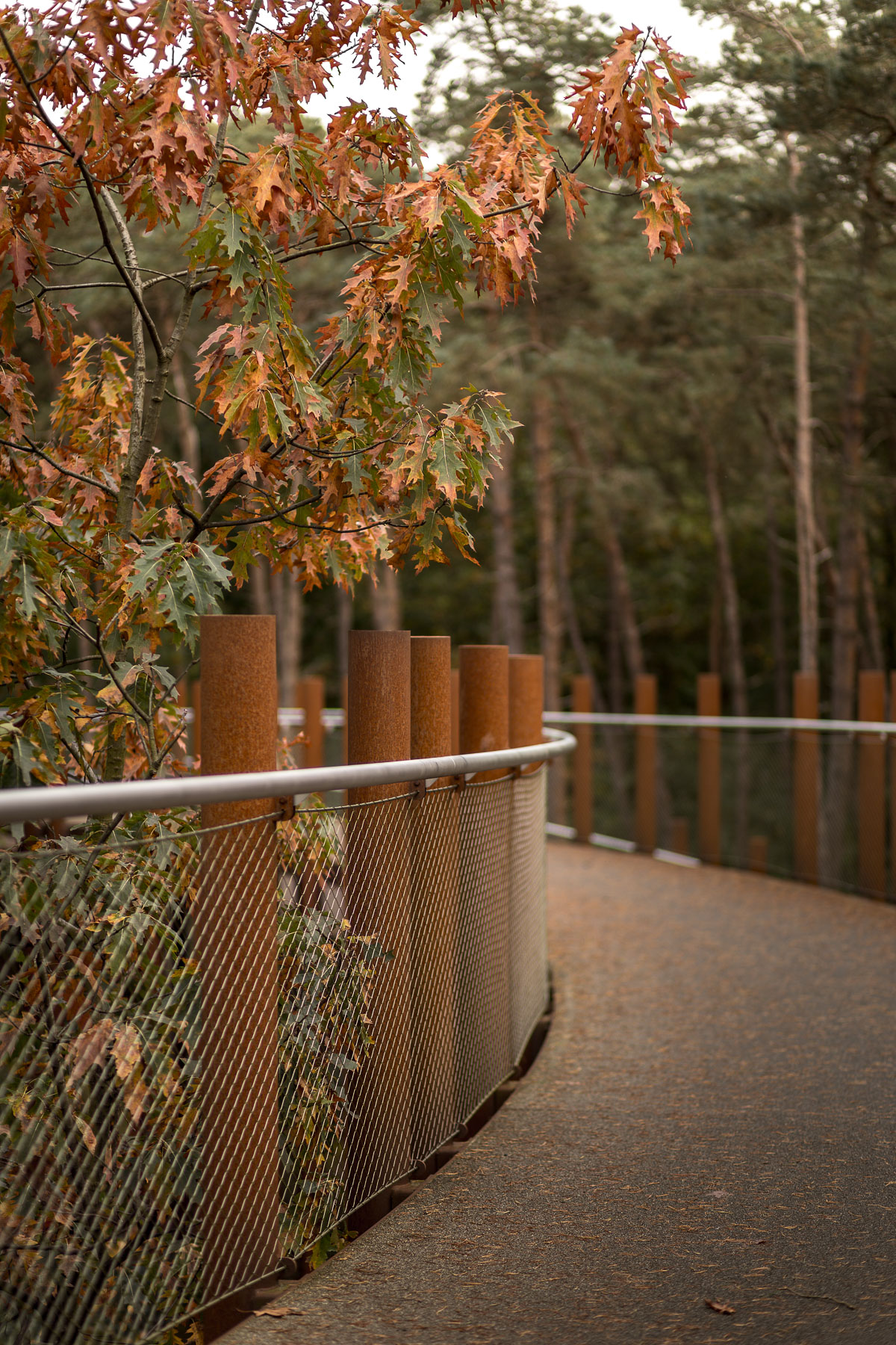 de architectuurfotograaf, architectuurfotografie, landschapsfotografie, Glenn Vanderbeke, Burolandschap, landschapsarchitectuur, fietsen door de bomen, limburg, landschapsarchitectuur limburg