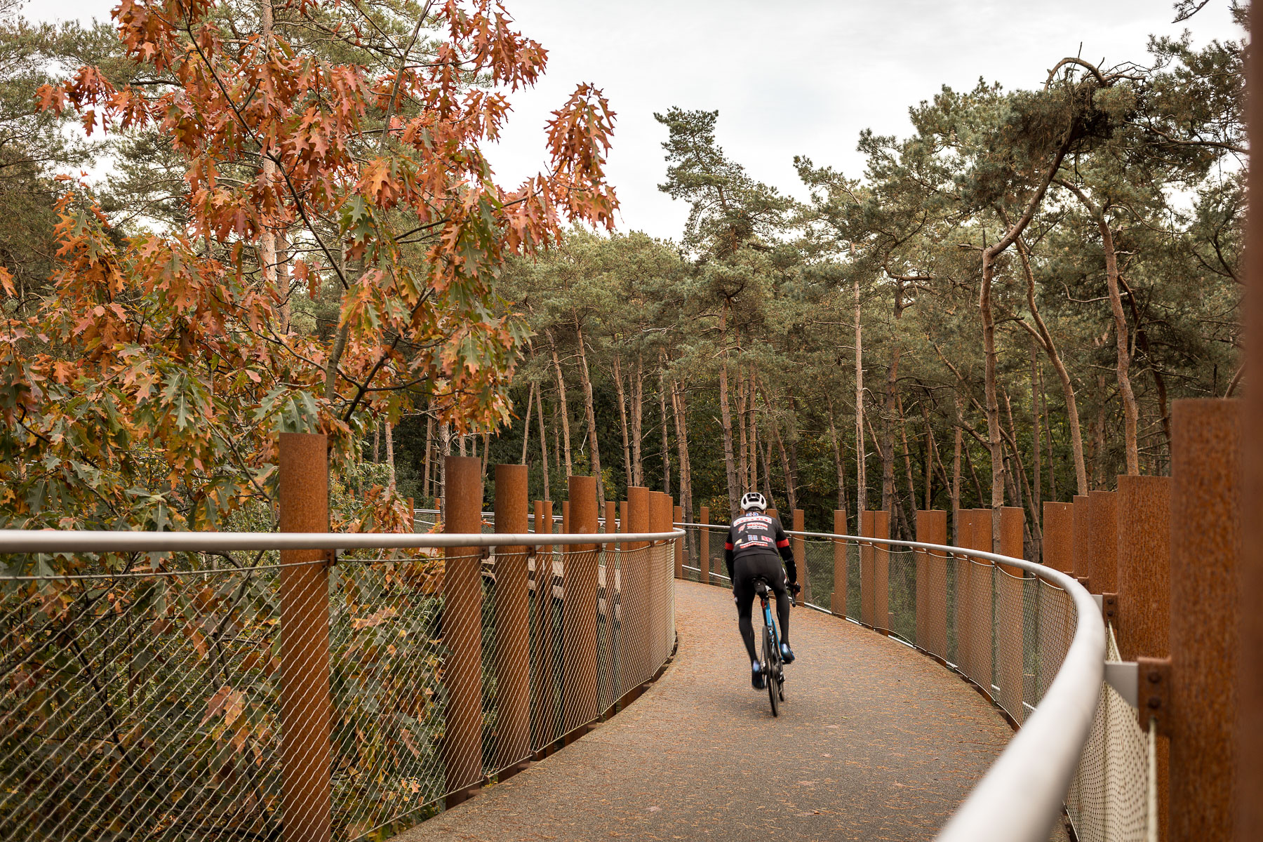 de architectuurfotograaf, architectuurfotografie, landschapsfotografie, Glenn Vanderbeke, Burolandschap, landschapsarchitectuur, fietsen door de bomen, limburg, landschapsarchitectuur limburg