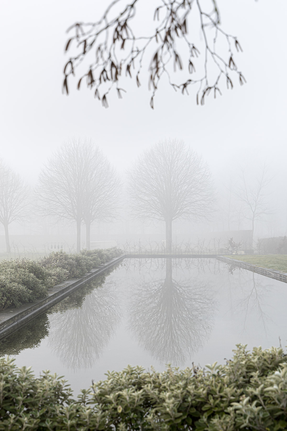 de architectuurfotograaf, architectuurfotografie, landschapsfotografie, Glenn Vanderbeke, tuinfotograaf, architectuurfotograaf, architectuurfotograaf west-vlaanderen, tuinen dieter castelein, castelein outdoor, landschapsarchitectuur, landschapsaanleg, openbaar groen, stiltepark torhout, stiltepark