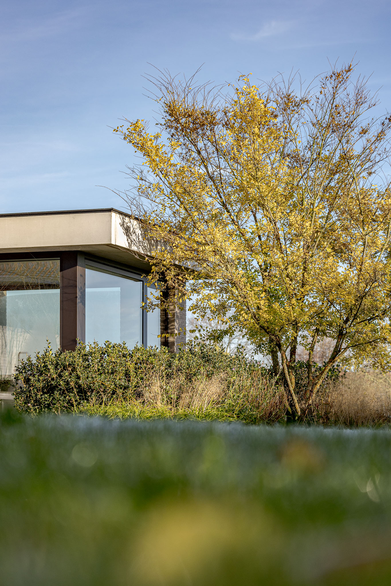 de architectuurfotograaf, architectuurfotografie, landschapsfotografie, Glenn Vanderbeke, louis dupon, louis dupon tuinarchitect, tuinarchitectuur, landschapsarchitectuur, tuinarchitect west-vlaanderen, tuinfotograaf, architectuurfotograaf, architectuurfotograaf west-vlaanderen